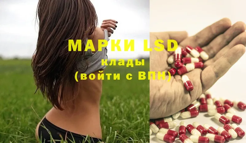 LSD-25 экстази кислота  blacksprut онион  Верхняя Пышма 